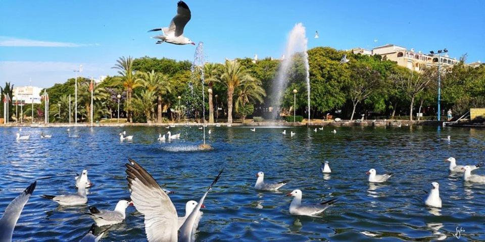 Torrevieja Experience Atico 1ª Linea Daire Dış mekan fotoğraf